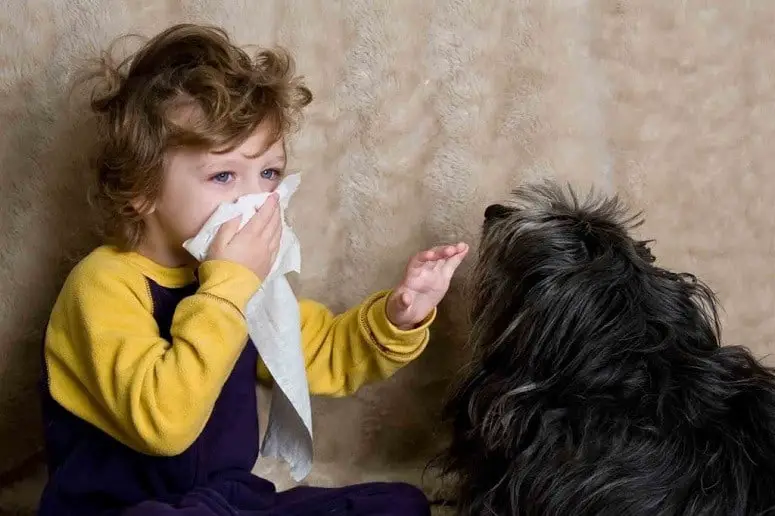 Air Purifiers for People With Pet Allergy
