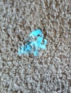 removing silly putty from carpet