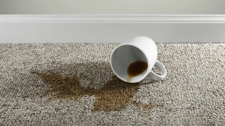 How to Remove Coffee Stains