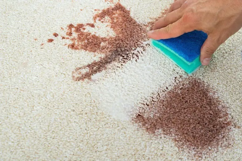 4 Easy Ways To Get Blood Out Of Carpet Clean And Remove Stains 