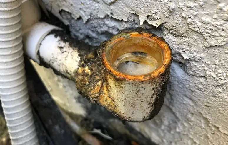 Dirty AC Drain Line