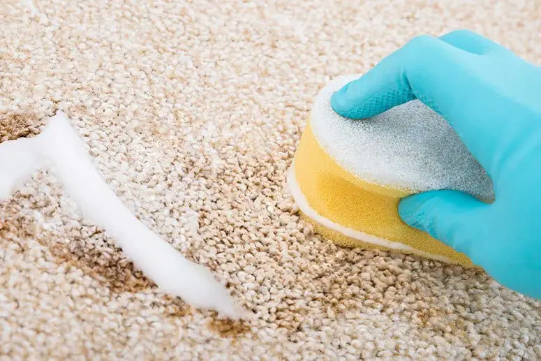 How To Use Baking Soda As A Carpet Cleaner Home Clean Expert