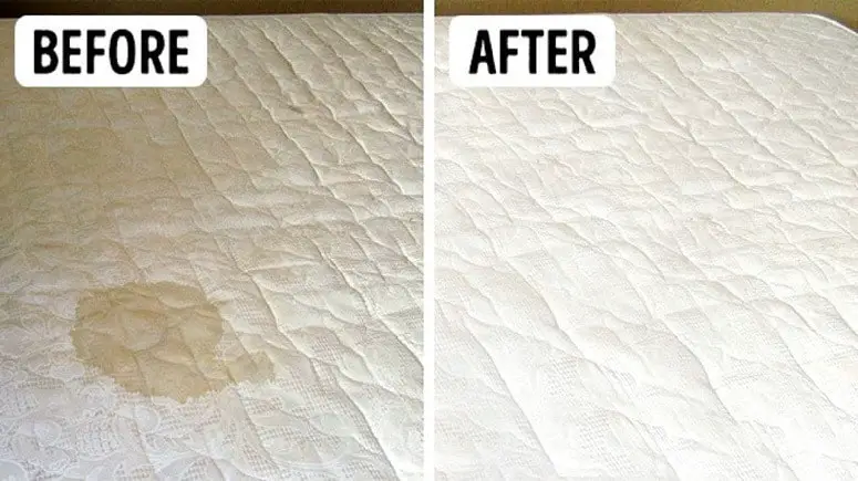 Mattress After Cleaning