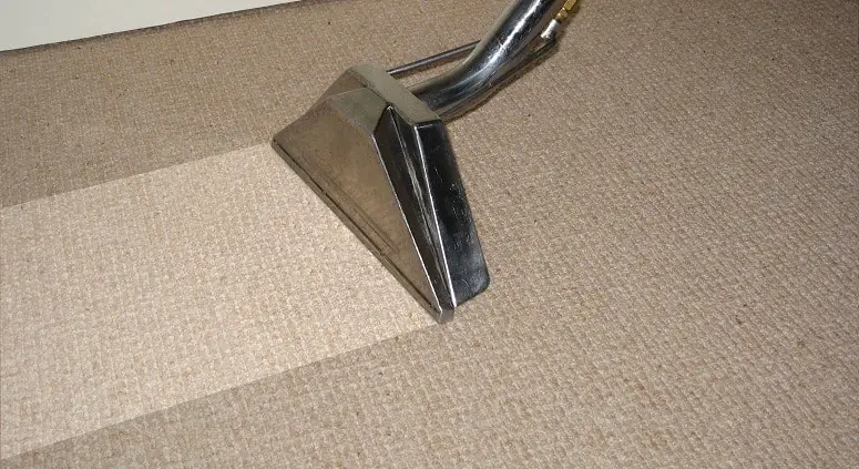 Cleaning Carpet