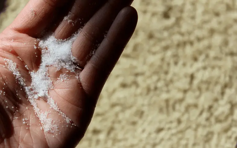 Cleaning Carpet With Salt