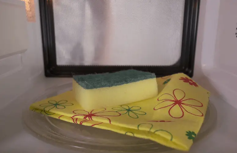 Microwave Kitchen Sponge 