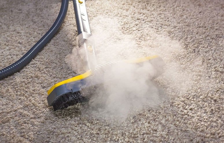 Steam Cleaning Mold Carpet