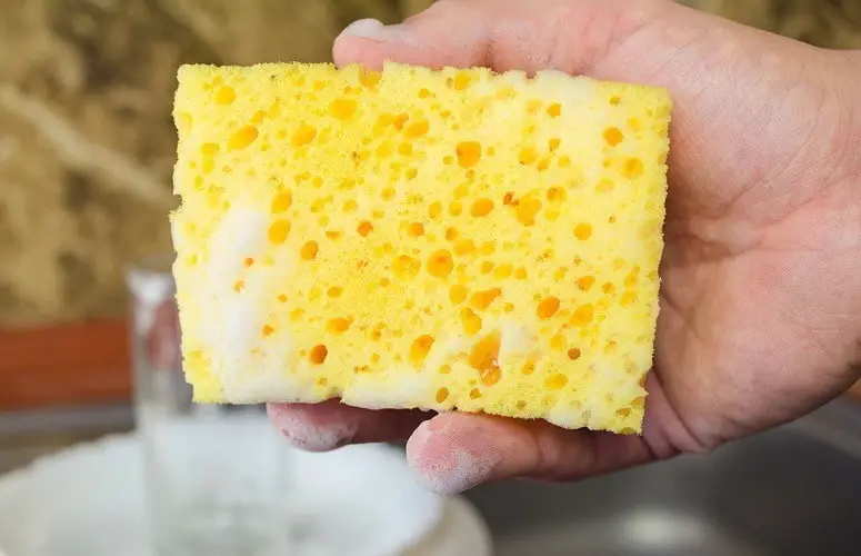 cleaning kitchen sponge with vinegar