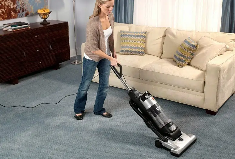 How To Use A Steamer To Kill Bed Bugs A Definitive Guide Home Clean