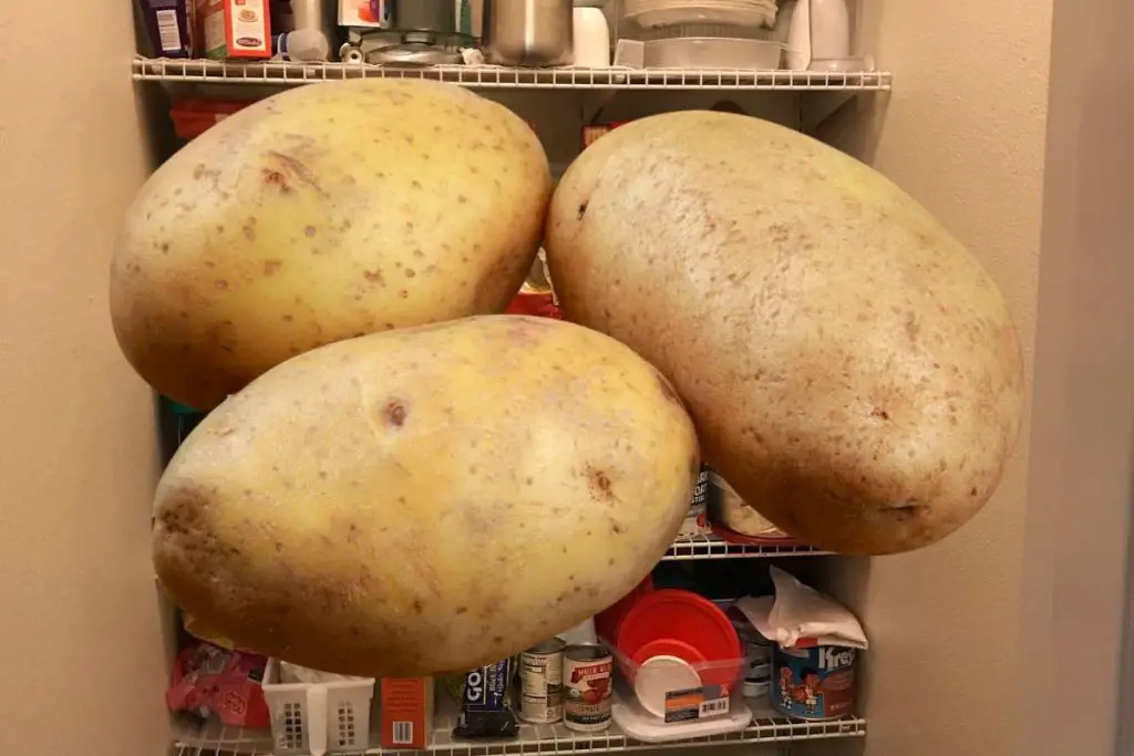 How Long Do Potatoes Last In The Pantry? Home Clean Expert