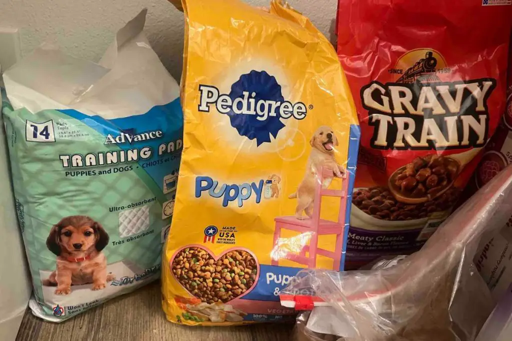 How to start a pet food pantry.